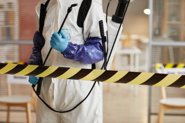 Professional Sewage Cleanup technician working in Greenville, NY